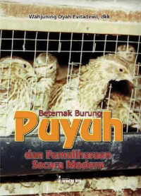 Image of Beternak Burung Puyuh
