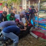 Kebersamaan di Hari Raya Idul Adha: SMP Ihsaniyah Tegal Gelar Penyembelihan Hewan Kurban